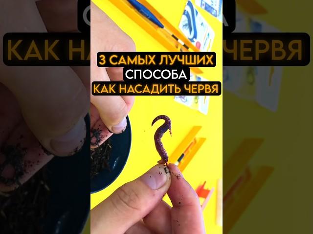 3 Самых Лучших Способа Как Насадить Червя на Крючок #рыбалка #рыба #fishing