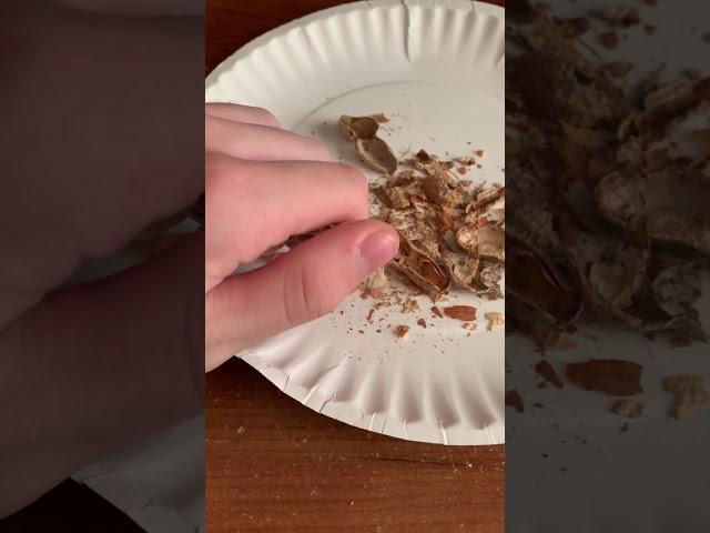 Eating SCP-173’s children
