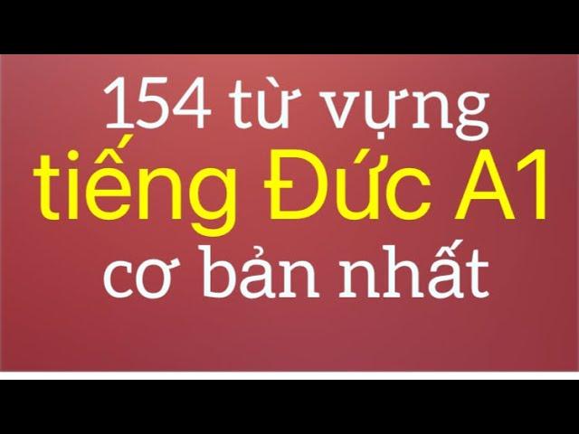 154 Từ Vựng Tiếng Đức A1 Cơ Bản Nhất