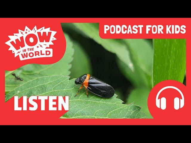 WEIRD Animal HABITATS 🪺🪲 | PODCAST FOR KIDS  | Wow in the World FULL EPISODE