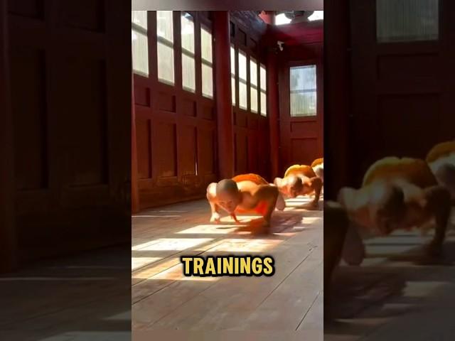 The Intense Training of Shaolin Monks