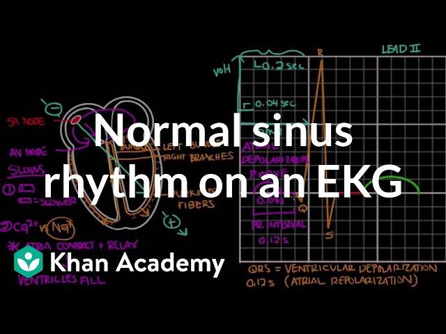 Normal sinus rhythm on an EKG | Circulatory System and Disease | NCLEX-RN | Khan Academy