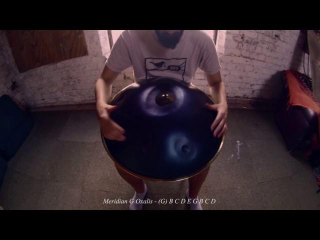 Meridian Handpan - G Oxalis