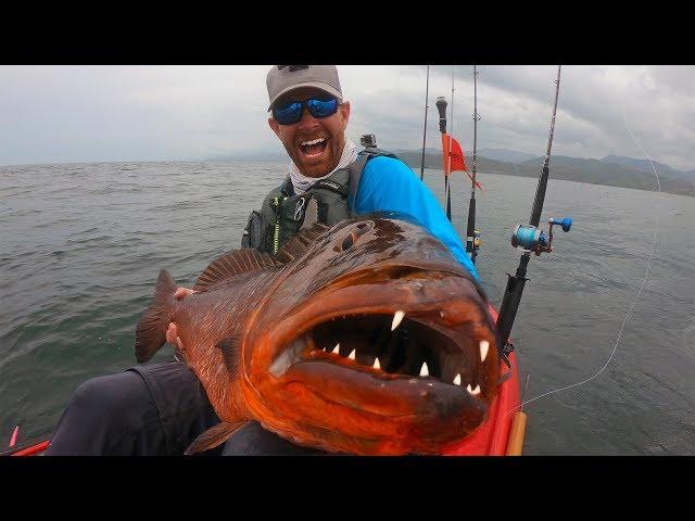 Giant Snapper with HUGE Teeth | Field Trips Panama | Field Trips with Robert Field