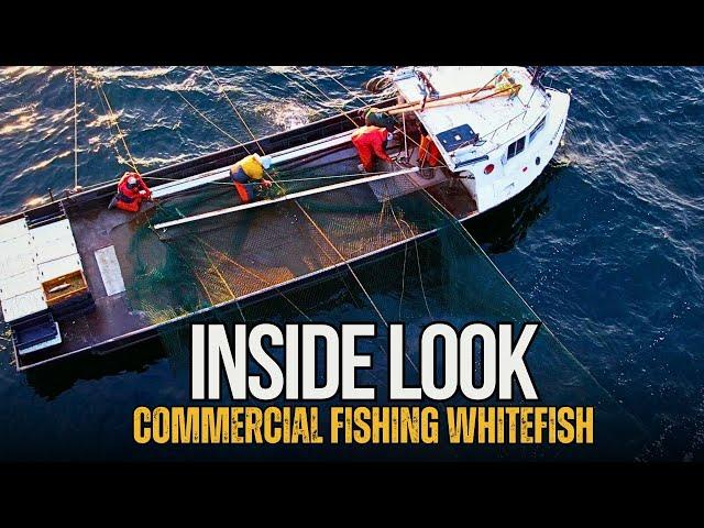 Inside Look Commercial Whitefish Fishing on Lake Michigan