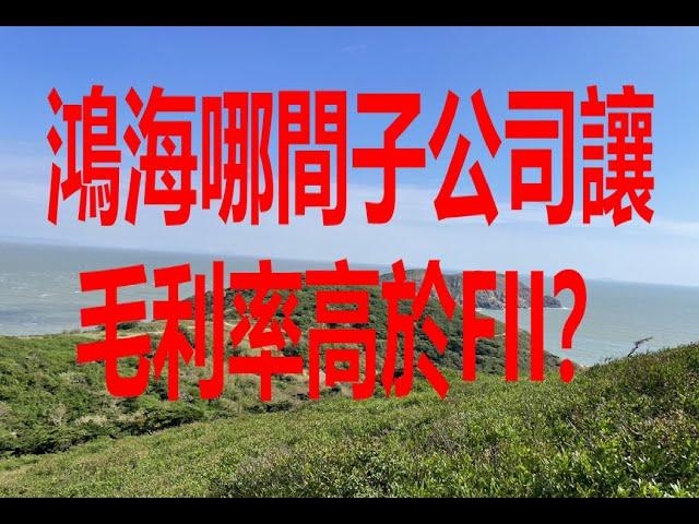 11月3日！鴻海哪間子公司讓毛利率高於FII？