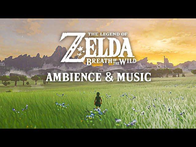  A Rainy Day in Central Hyrule  Zelda Ambience & Optional Music