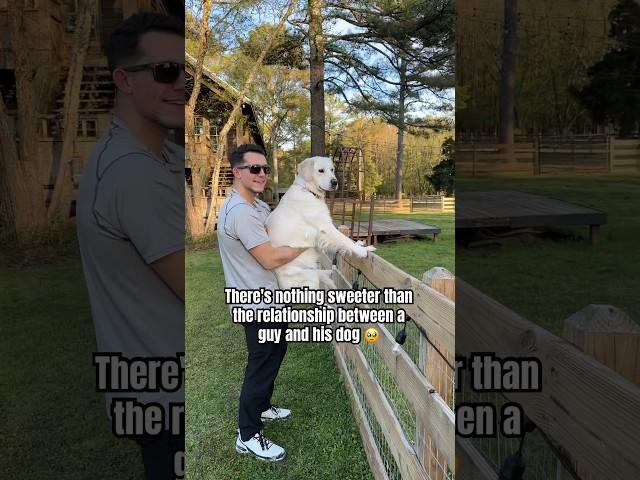 The Relationship Between A Guy And His Dog ️ #cutedog #doglovers