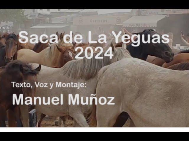 Saca de las Yeguas 2024