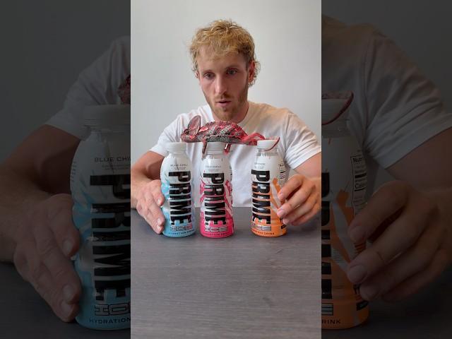 Logan Paul PRIME Chameleon! #drinkprime #prime #loganpaul #ksi #lunchly  #shorts