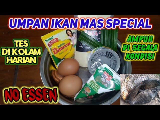 UMPAN IKAN MAS SPECIAL.. TES DI KOLAM HARIAN.. MASIH AMPUH DI SEGALA KONDISI.. BISA DI BUKTIKAN..