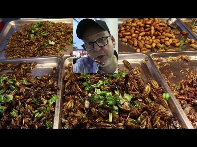 Crickets and Coconut Worms (Insects Are My Favorite Thai Street Food) | Jan Tom Yam