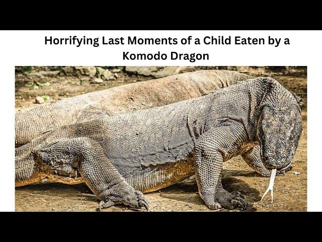 The Last Horrifying Moments of a Boy Bitten in Half by a Komodo Dragon  #komododragon #horrorstory