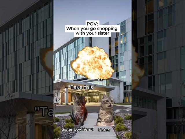 CAT MEMES  when you get misunderstood by your sister's boyfriend #shorts #catmemes #relatable