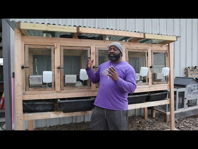 DIY Rabbit Hutch: How We Built It Without Plans - A Step by Step Guide