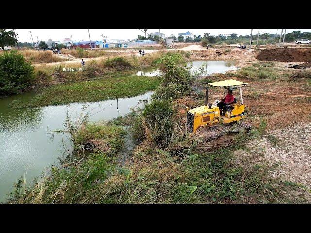 Wonderful Dozer Clearing Forest | Clean up the forest along the canal​​ By Experts Bulldozer D31p