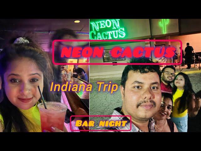 NEON CACTUS NIGHT BAR PARTY | INDIANA TRIP| MASTI| DINNER PARTY |DISCO NIGHT |USAvlog