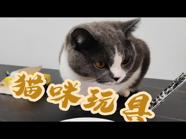 猫咪玩具推荐！快给你们的崽崽安排上！亲测好用猫咪爱玩！