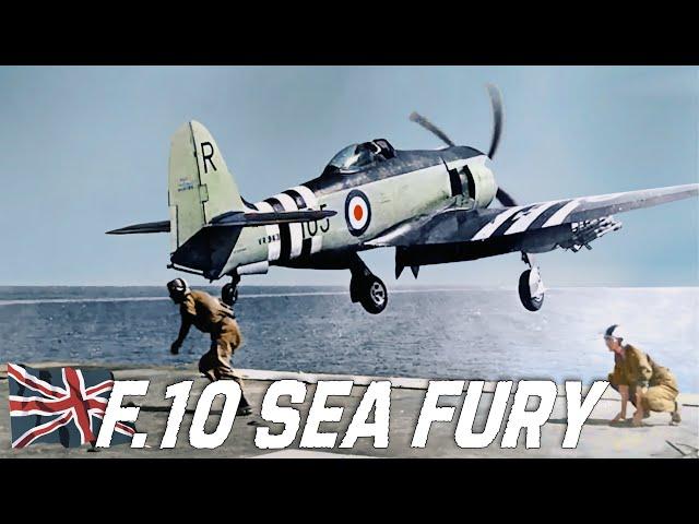 Hawker Sea Fury F.10 MK X | The British Propeller Fighter That Defeated Mig-15 Jets