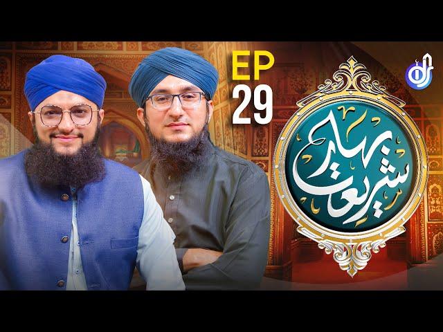 Bahar E Shariat | Episode 29 | Special Transmission | Hafiz Tahir Qadri | @idsbahareshariat