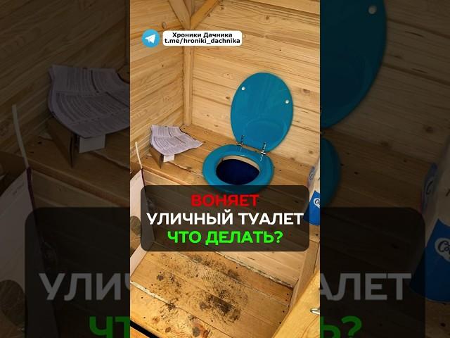 Туалет больше не будет вонять #дача #сад #огород #участок