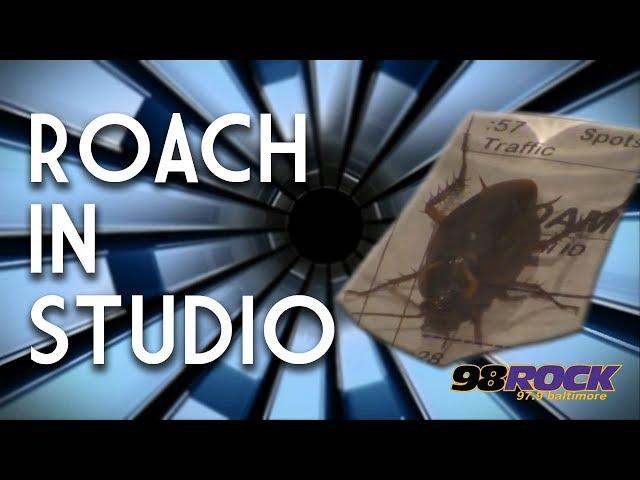 Cockroach In Studio!