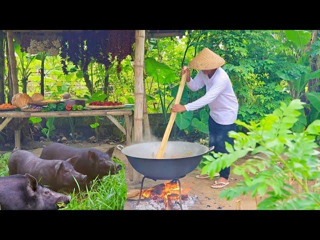 Countryside cooking: Native Pig Recipes | Pork Humba, Mechado and Nilat-an