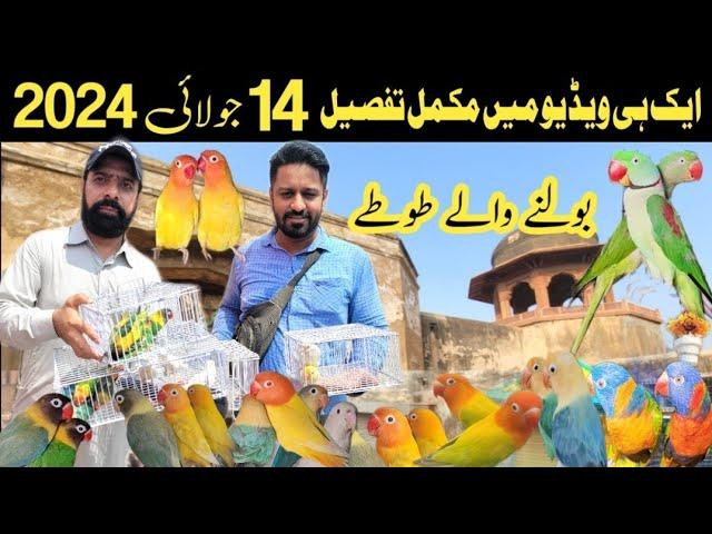 sunday birds market lahore 2024 | sunday birds market latest price update