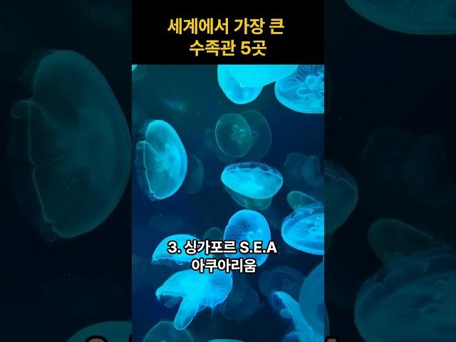 세계에서 가장 큰 수족관은?