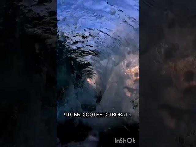 Люди Света.