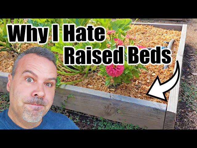 7 Downsides of Raised Bed Gardening