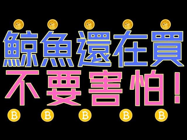 大鯨魚還在買比特幣！pi幣很不妙！狗狗幣、山寨幣還會漲嗎！