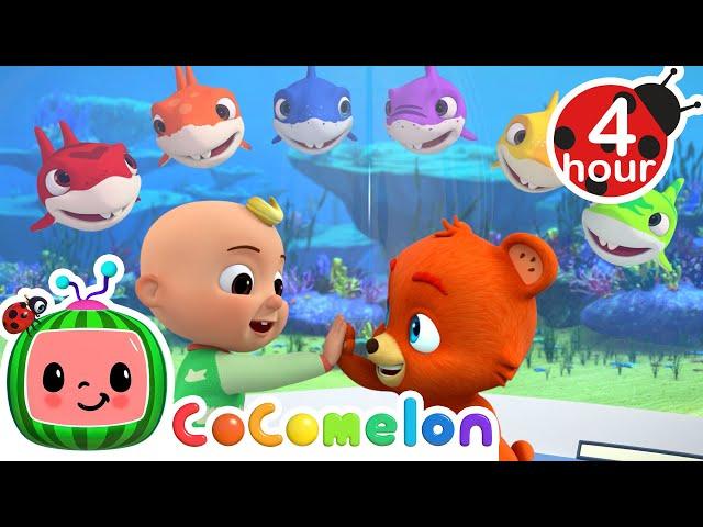 Learning Colors With Baby Shark + More | Cocomelon - Nursery Rhymes | Fun Cartoons For Kids