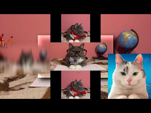 (YTPMV) ЕСЛИ БЫ КОТИКИ ХОДИЛИ В ШКОЛУ   ЧТО ВАМ БОЛЬШЕ ВСЕГО НРАВИТСЯ В ШКОЛЕ Scan