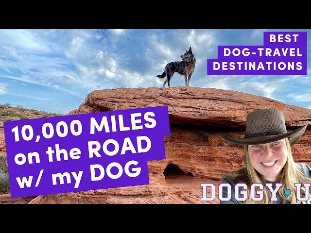 10,000 Miles on the Road with my Dog: Best Dog-Friendly Travel Destinations Across the Country