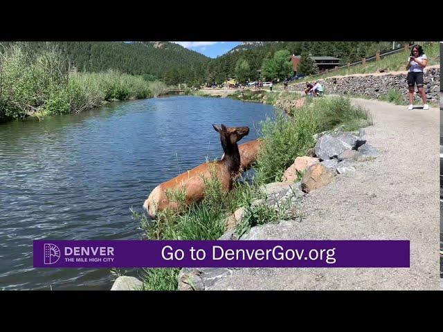 Denvers Great Outdoor: Parks and Recreation