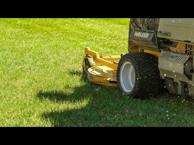 Spring Cleanup Service Breakdown - Power Raking & Dethatching