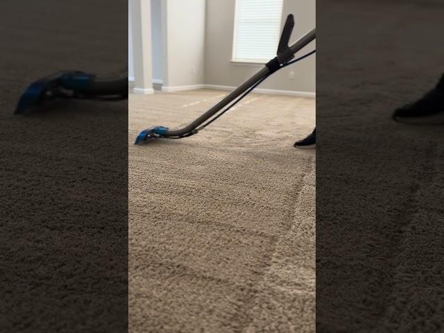 Enjoy this cinematic carpet cleaning with Jet Stream Clean #asmrcarpetcleaning #jetstreamclean