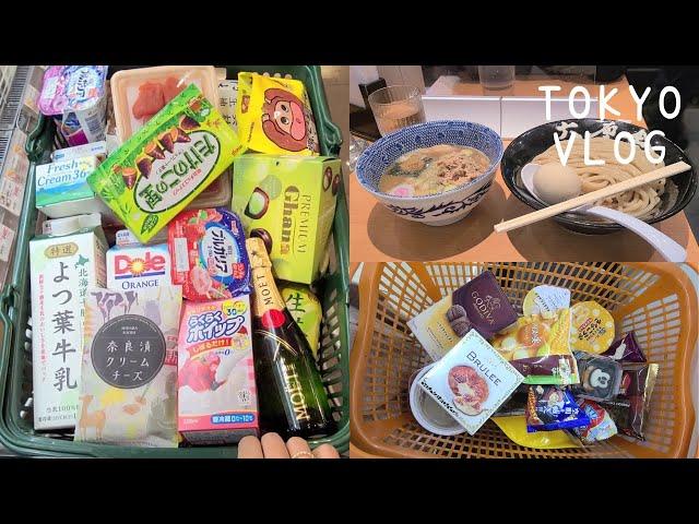 The ordinary daily life (Pudding, French Toast With Cheese, Tokyo Station Trip, Grocery Shopping)