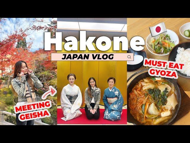 Japan Travel Vlog  Meeting Geisha, beautiful Japanese gardens & great food - Last day in Hakone