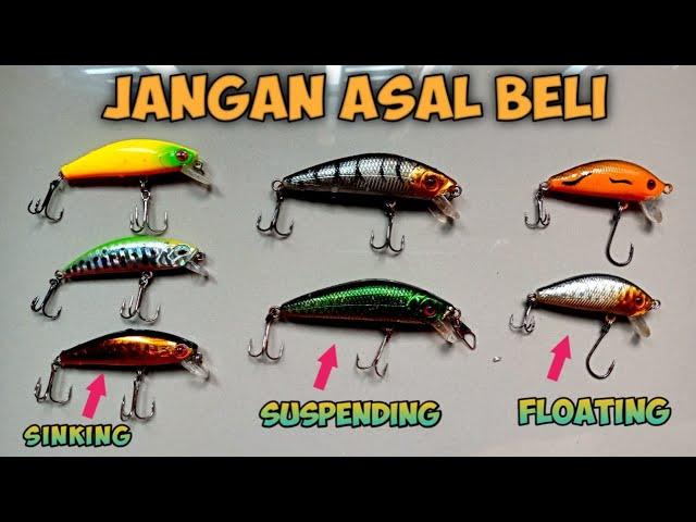 3 ACTION LURE | Sinking, Suspending, Floating