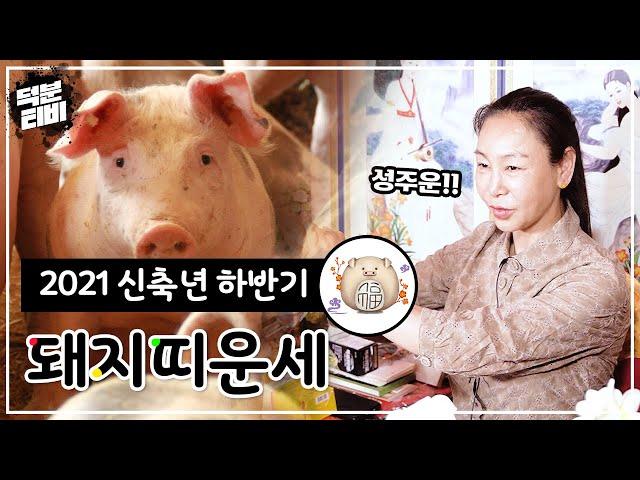 2021년 신축년 하반기 띠별 운세: 돼지띠 '9, 10월 시험운!' 합격운을 대~폭 올려주는 시험 합격 비방법 공개!