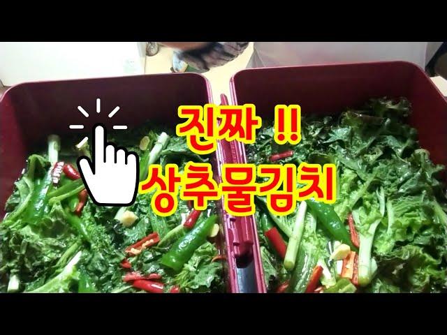 진짜 상추 물김치가 나왔다.  말이 필요없다!! 상추 물김치 본연의 맛!! #상추물김치