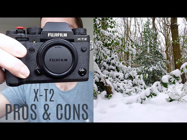 Fuji X-T2 BEST BUDGET ALL ROUNDER?