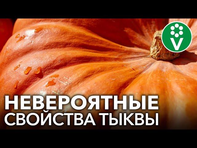 ВОТ ЧТО ТВОРИТ ТЫКВА! Невероятная польза тыквы для здоровья и красоты