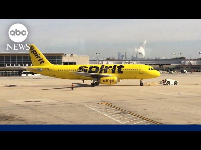 Spirit Airlines plane struck by gunfire