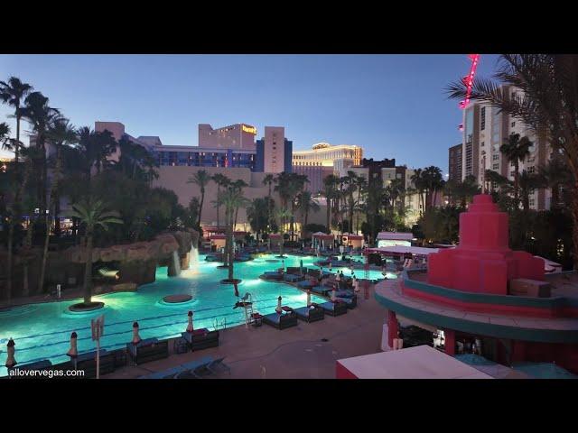 Flamingo Casino Las Vegas: A Visual Journey Through Vegas' Iconic Gaming Destination