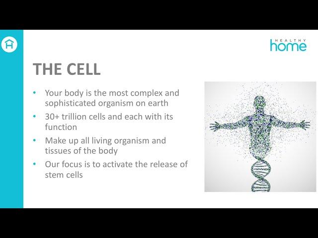 STEM ACTIVE HealthyHome!  STEM Cell Expert -Christian Drapeau.