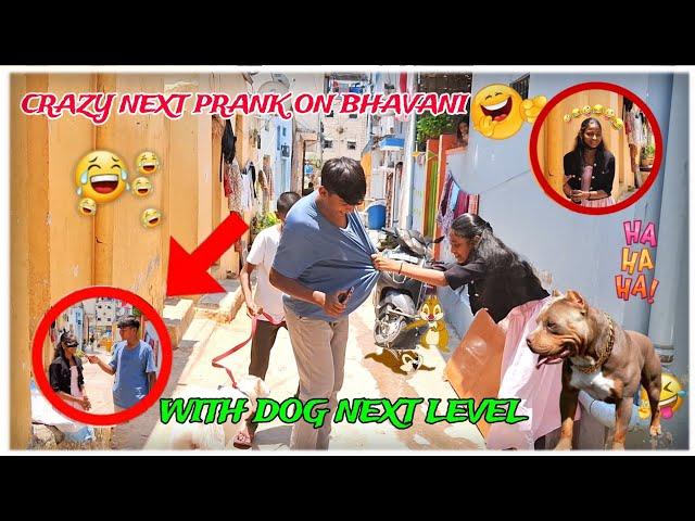 Crazy Next Level  Prank On Bhavani With Dog  || Next Level Entertainment || 