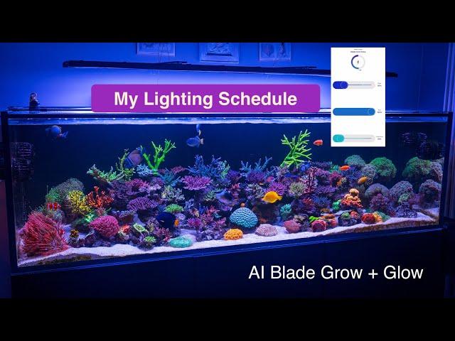 My Ultimate Light Schedule - AquaIllumination Blade Grow and Glow